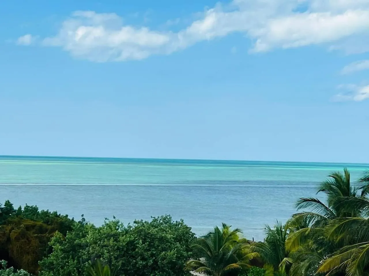 Massive Compound With Private Pool That Is Walking Distance To The Beach Isla Holbox