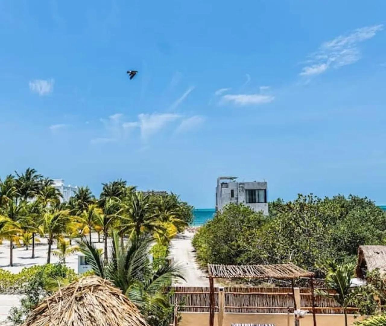 Massive Compound With Private Pool That Is Walking Distance To The Beach Holiday home Isla Holbox
